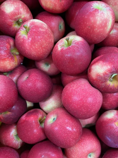 Cover image for New Season Apples and Garden Project Update
