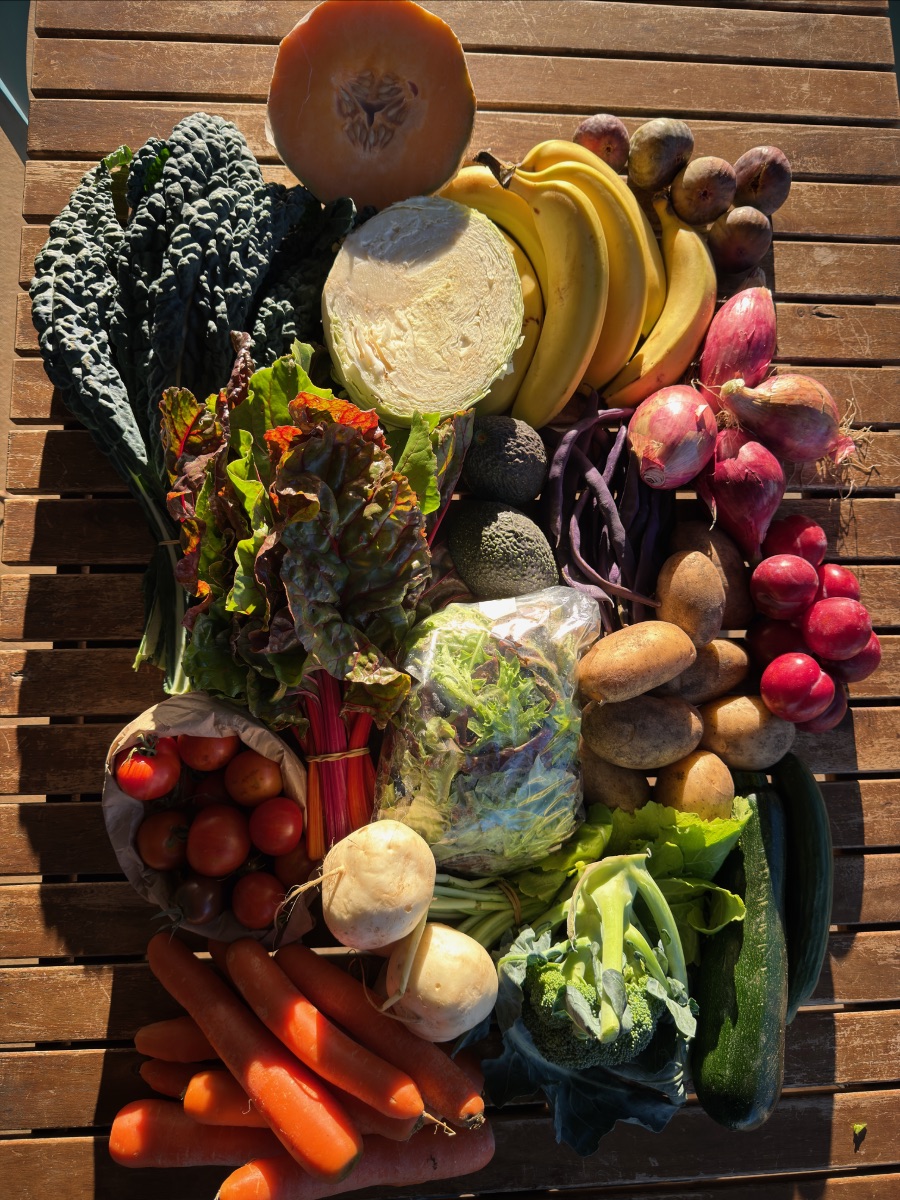 Assorted fresh produce arranged on a wooden table, including kale, a halved squash and cabbage, bananas, onions, purple beans, potatoes, radishes, tomatoes, carrots, turnips, broccoli, leafy greens, and a zucchini. Sunlight casts strong shadows across the vegetables.
