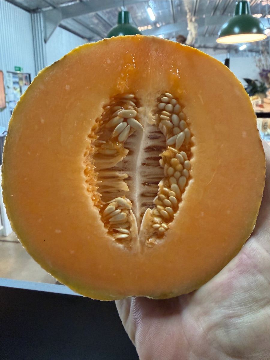 Close-up of a halved orange-fleshed melon with a central seed cavity, held in a person’s hand. Blurred indoor shop background with hanging green lamps.