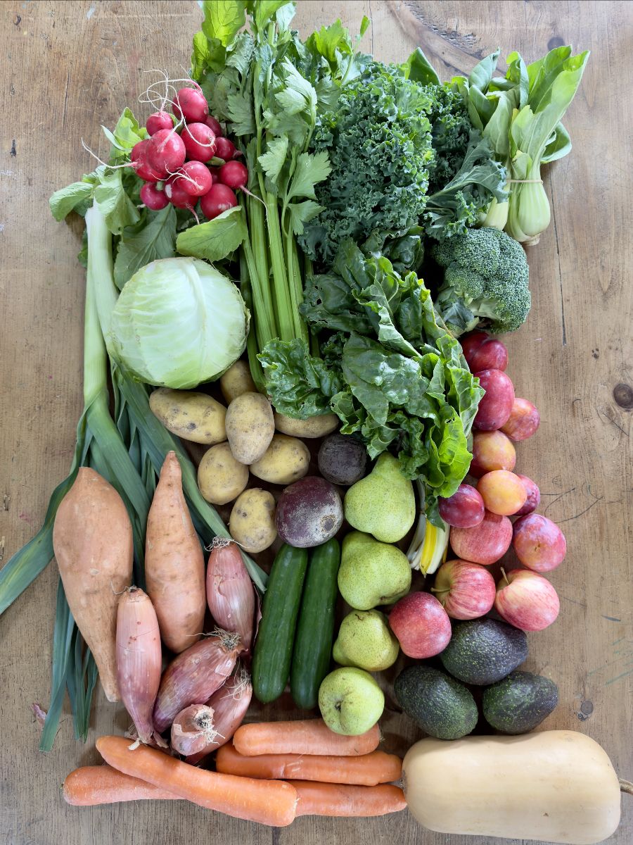 Assorted fresh produce arranged on a wooden table, including radishes, cabbage, celery, kale, broccoli, leeks, onions, potatoes, cucumbers, carrots, pears, apples, plums, and avocados. A butternut squash sits at the bottom right.