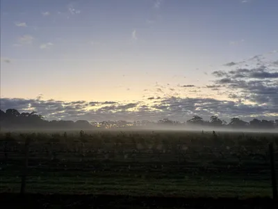 Cover image for Hannah Takes Over Harvesting Duties