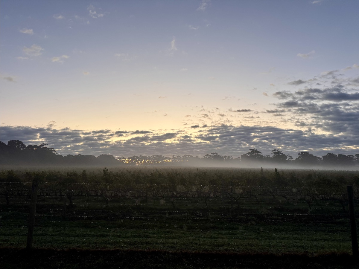 Low sun glows behind a band of clouds over a misty farm field, with a line of trees along the horizon. A dark wire fence runs across the foreground.