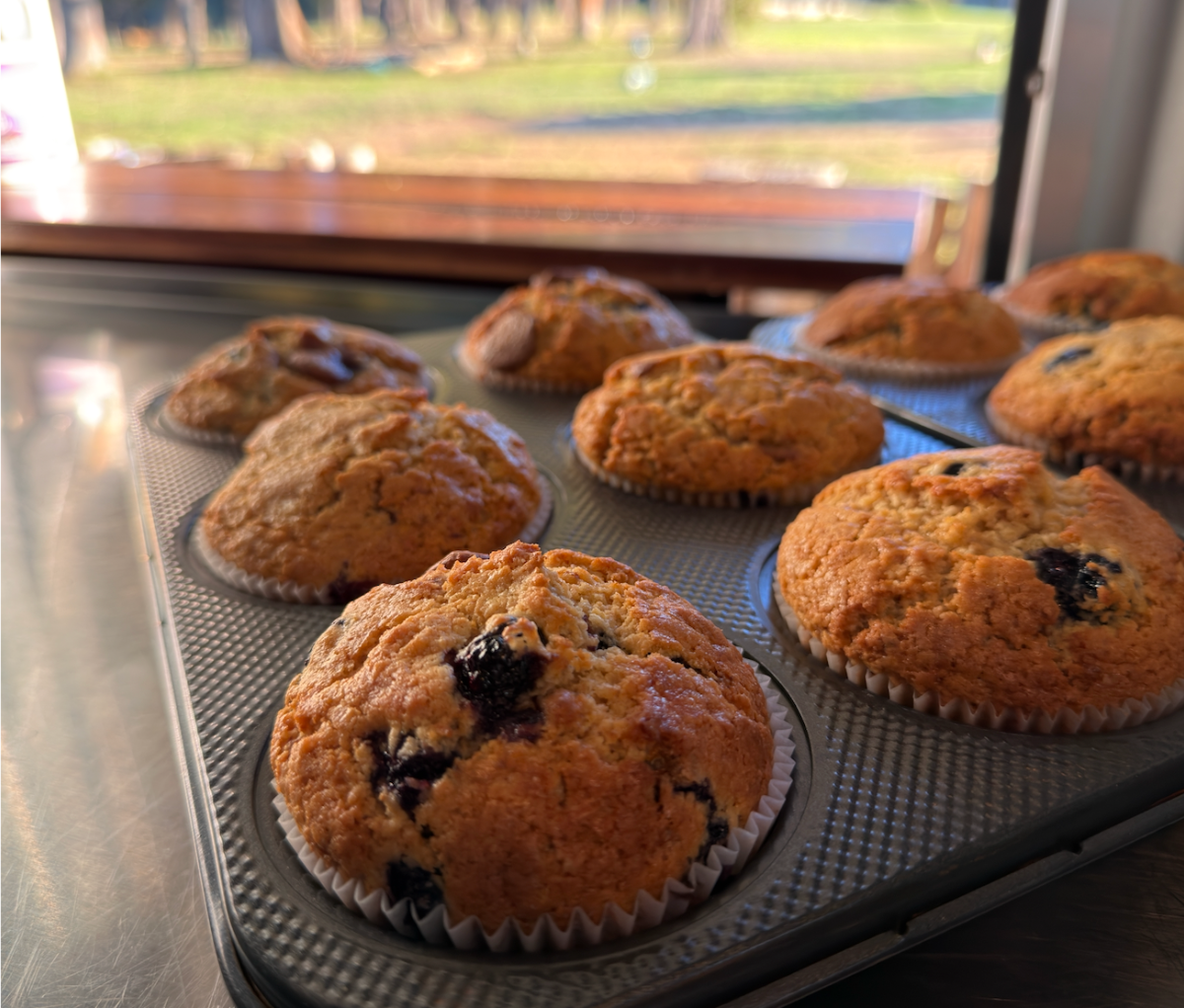 Several golden-brown blueberry muffins in paper liners sit on a dark baking tray. The tray is on a counter near a window, with the outdoor scene blurred in the background.