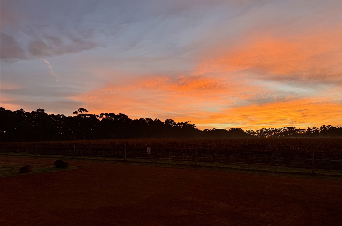 Orange and pink sunset clouds fill the sky above a dark tree line on the horizon. A flat dirt area and fenced fields stretch across the foreground.