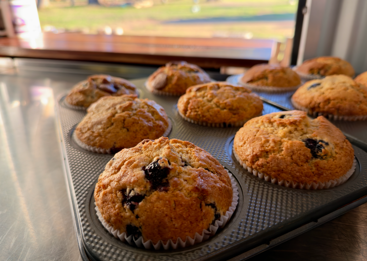 Freshly baked muffins sit in a metal muffin tray on a stainless-steel counter, with several blueberry muffins in paper liners. A sunlit window and blurred outdoor view appear in the background.