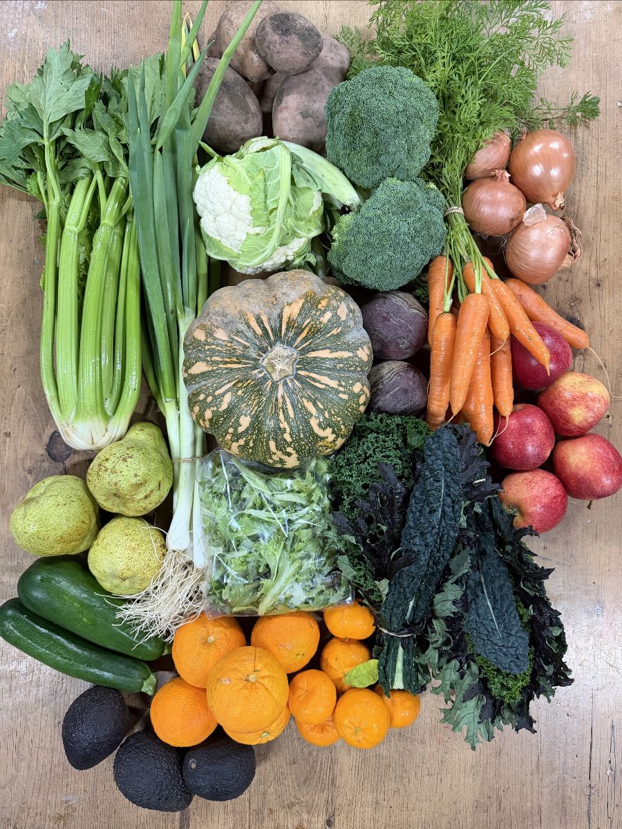Assorted fresh produce arranged on a wooden surface, including celery, leeks, potatoes, cauliflower, broccoli, carrots with tops, onions, pumpkin, beets, kale, zucchini, pears, avocados, and oranges. Several red apples and a bag of salad greens are also included.