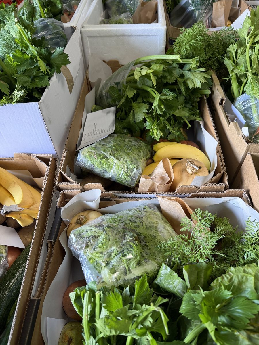 Cardboard produce crates filled with fresh greens and herbs, including bunches of celery and parsley. Bananas and other vegetables sit alongside bagged leafy salad greens.
