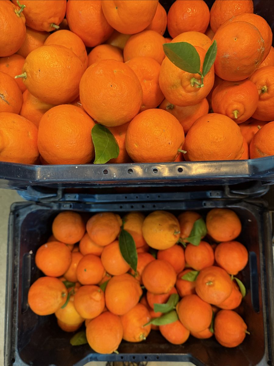 Two stacked black crates filled with bright orange citrus fruit, some with green leaves still attached. Close-up view shows the top crate densely packed and the lower crate partially visible beneath it.