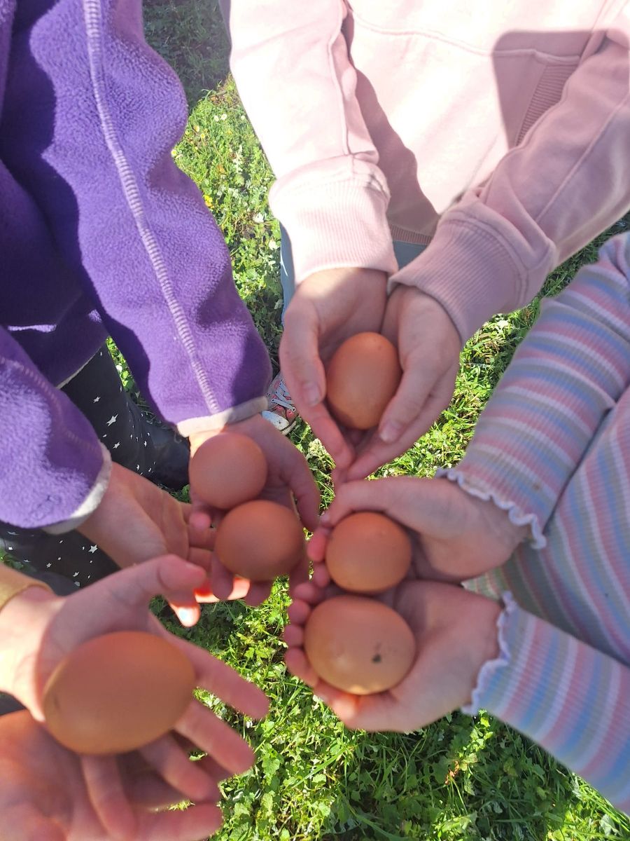 Several children’s hands form a circle while holding brown eggs over green grass. Sleeves in purple fleece, a pink hoodie, and a striped top are visible around the eggs.