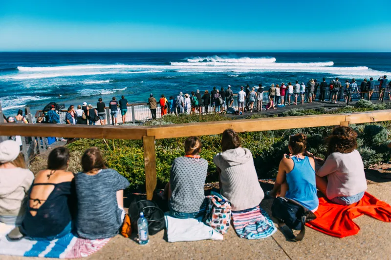 Assorted fresh produce arranged on a wooden table, including carrots, leafy greens, celery, cucumbers, potatoes, avocados, bananas, tomatoes, plums, red onions, beets, cabbage, broccoli, and a wrapped wedge of watermelon.